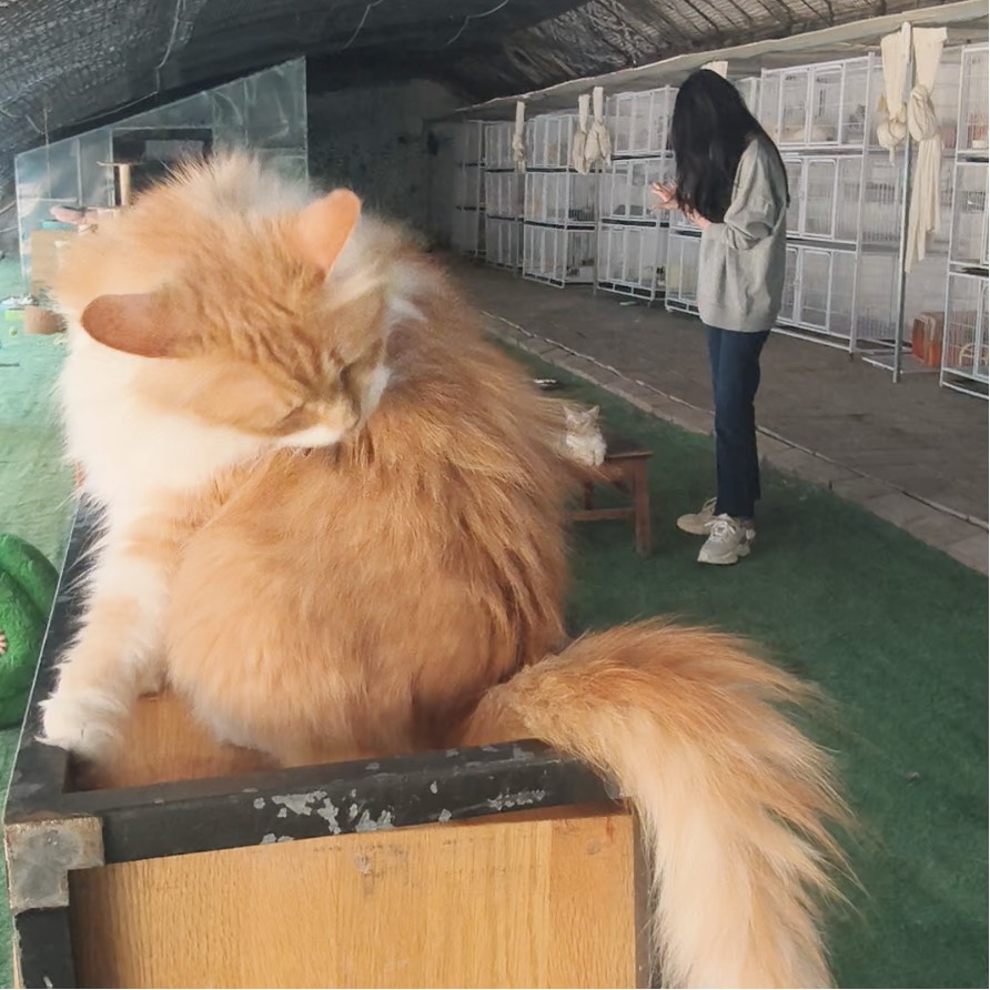 基地照片5